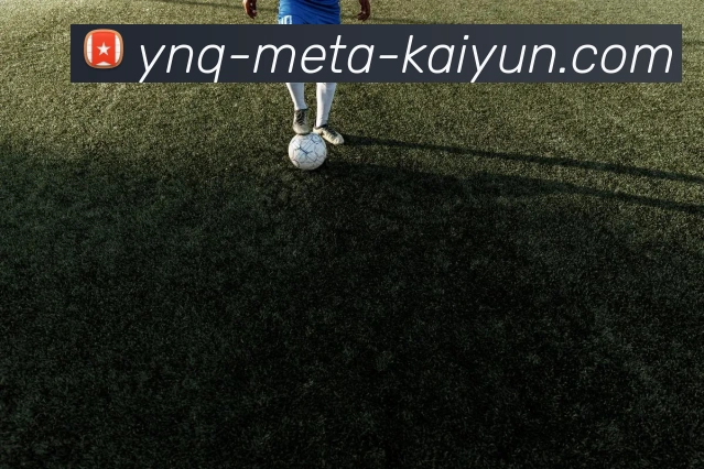 战术分析频道